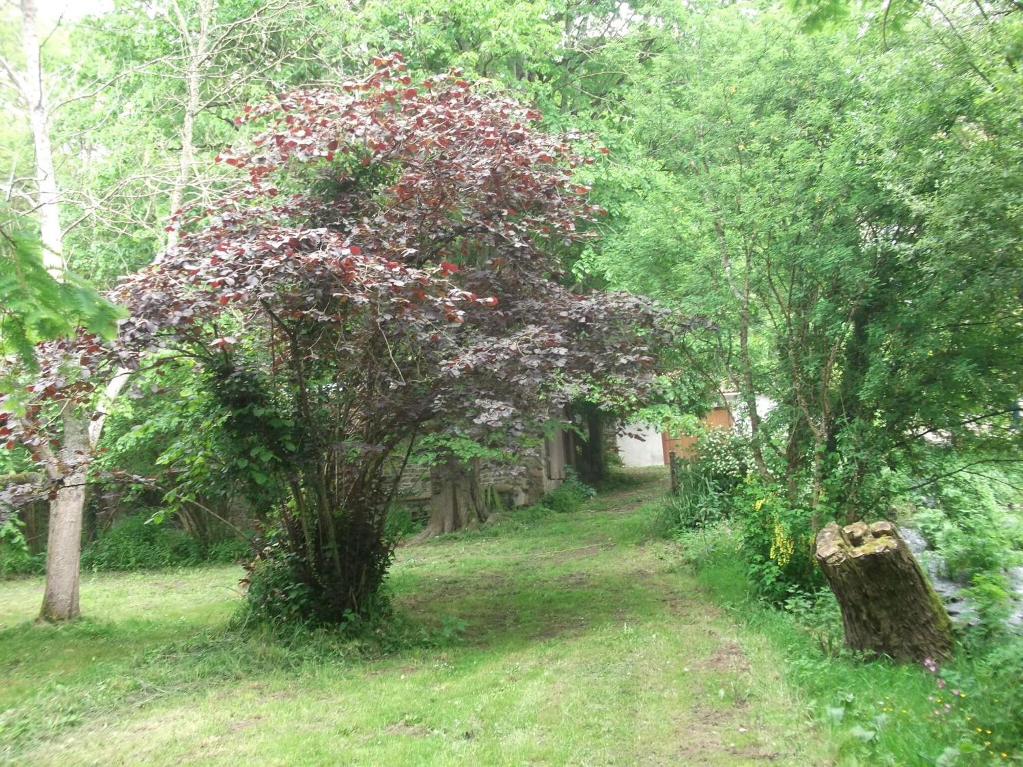 Superb Holiday Home With Private Garden Yvias Εξωτερικό φωτογραφία